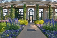 Orangery_Spring2