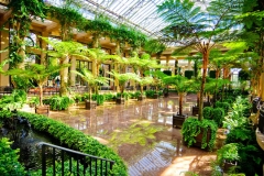 longwood 3